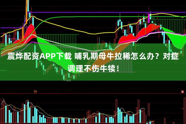 震烨配资APP下载 哺乳期母牛拉稀怎么办？对症调理不伤牛犊！